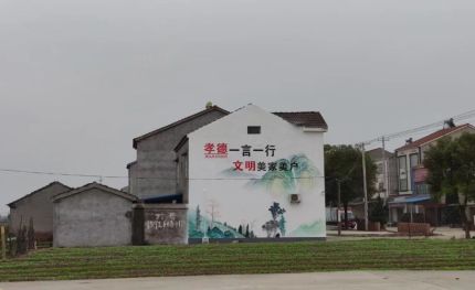 衡阳新农村墙绘